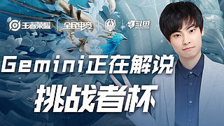 家队的决定 家队的决定